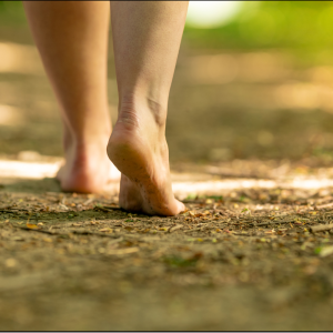 Grounding, Clearing, and Protection 